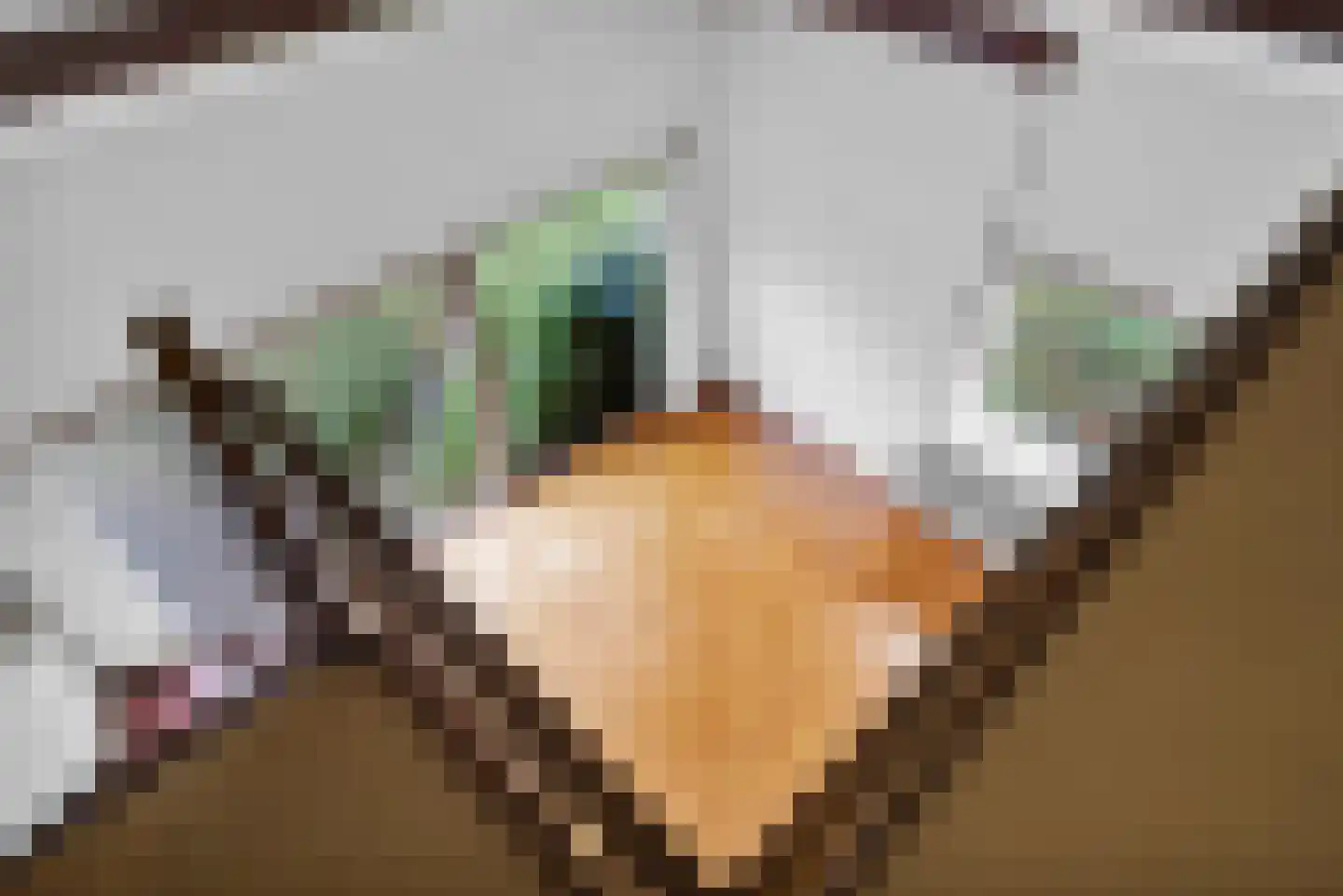 De Eker 11 Balk thumbnail 16