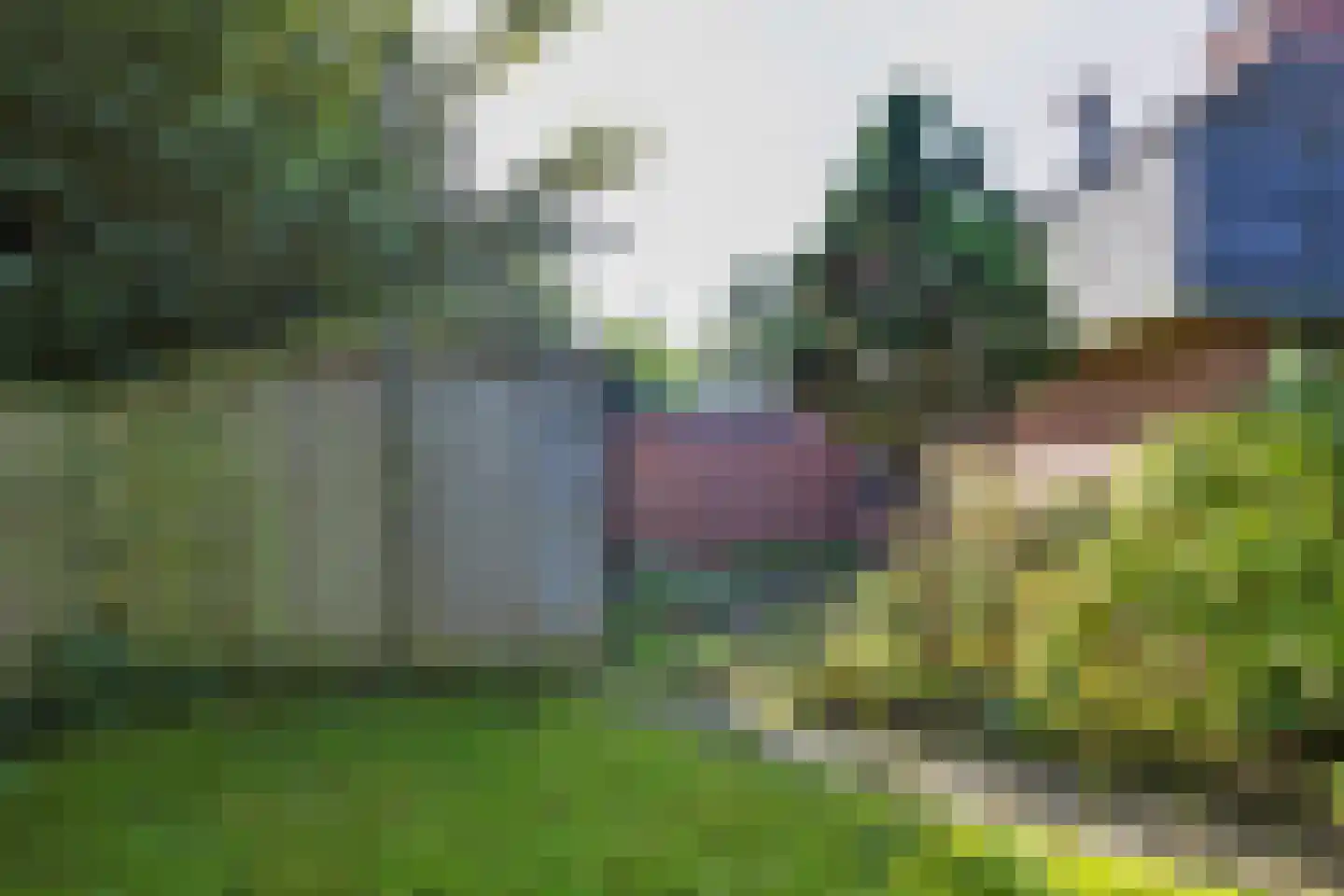 De Eker 11 Balk thumbnail 28