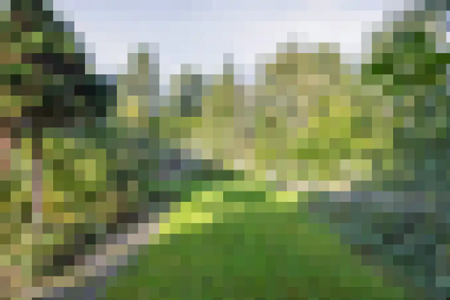 De Eker 11 Balk thumbnail 29