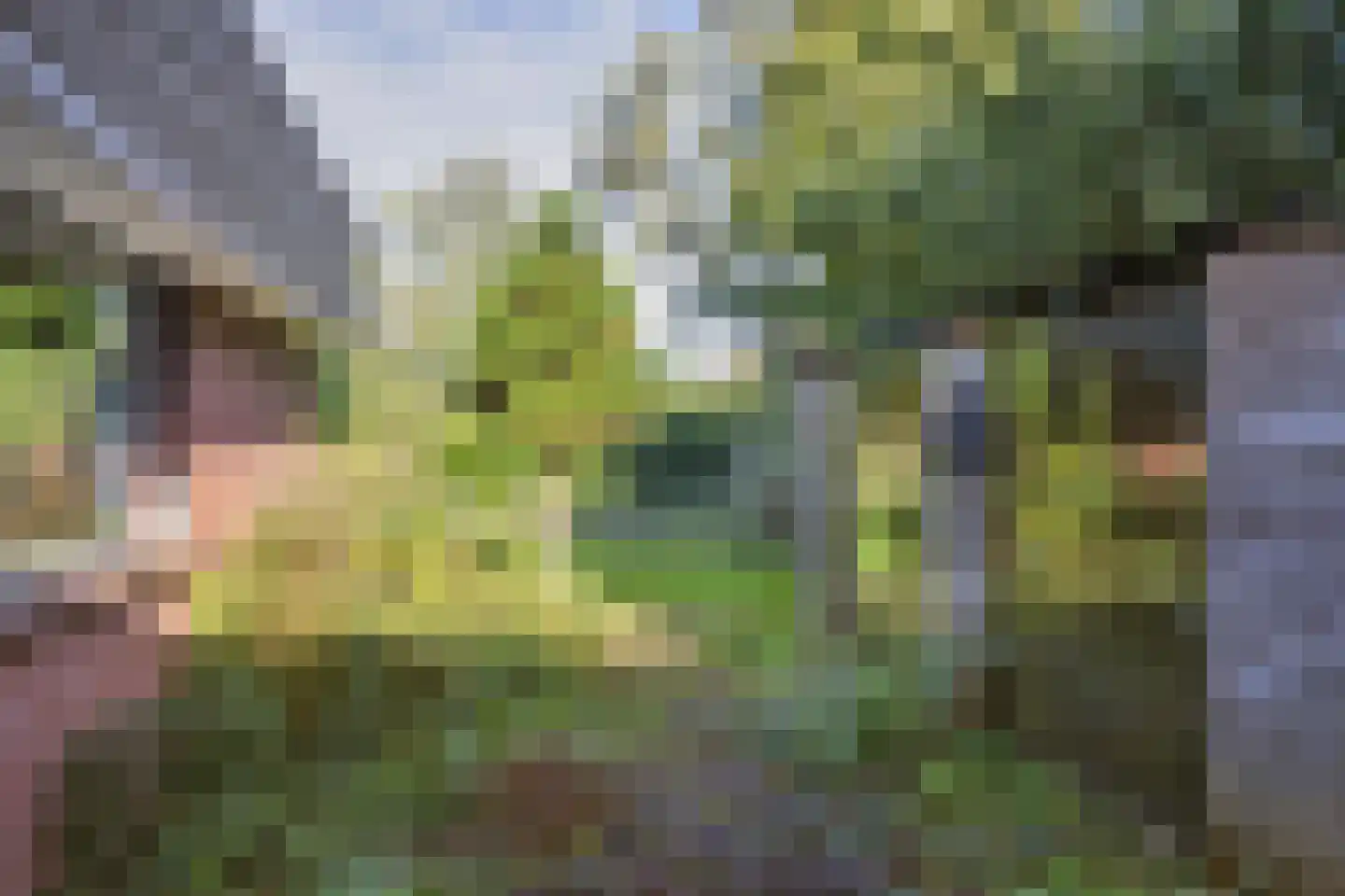 De Eker 11 Balk thumbnail 30