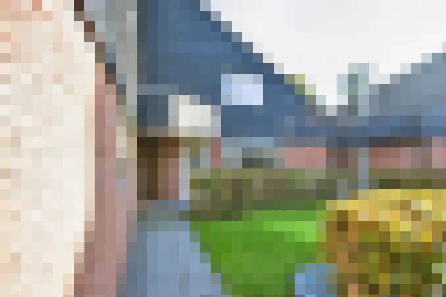 De Eker 11 Balk thumbnail 5