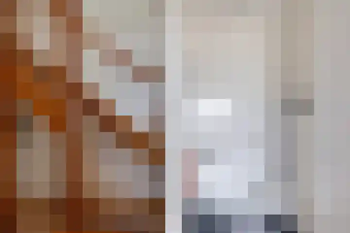 De Eker 11 Goutum thumbnail 14