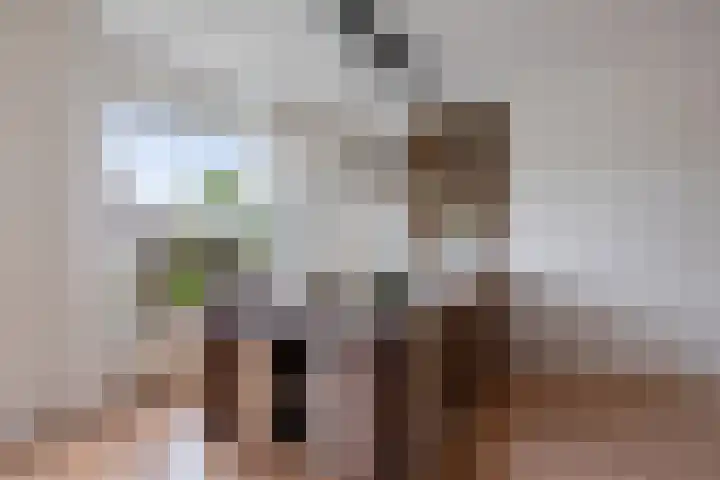 De Eker 11 Goutum thumbnail 17