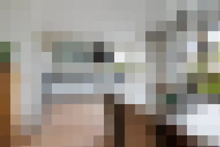 De Eker 11 Goutum thumbnail 25