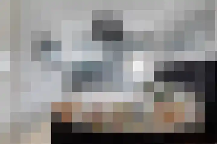 De Eker 11 Goutum thumbnail 28