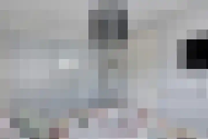 De Eker 11 Goutum thumbnail 29