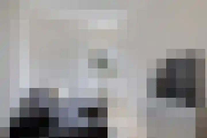 De Eker 11 Goutum thumbnail 30