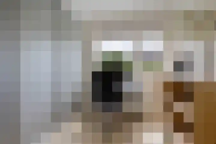 De Eker 11 Goutum thumbnail 31