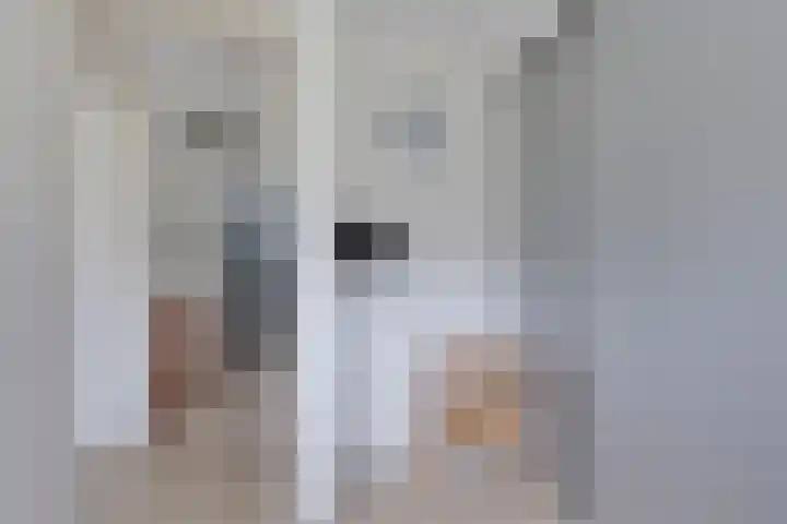 De Eker 11 Goutum thumbnail 32
