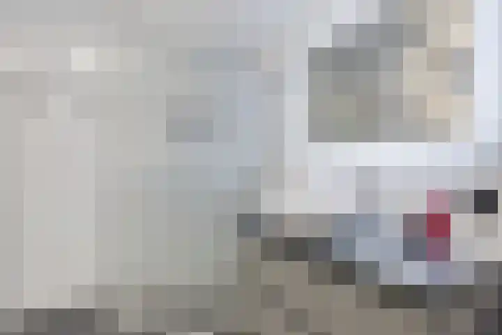 De Eker 11 Goutum thumbnail 33