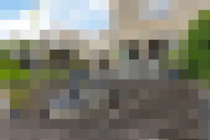 De Eker 11 Goutum thumbnail 39