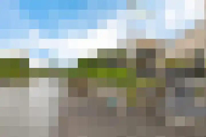 De Eker 11 Goutum thumbnail 4
