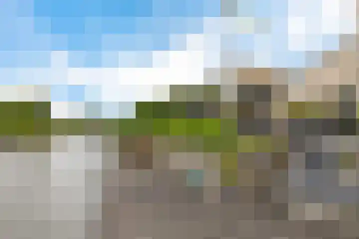 De Eker 11 Goutum thumbnail 40