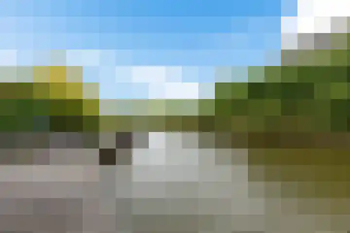 De Eker 11 Goutum thumbnail 41