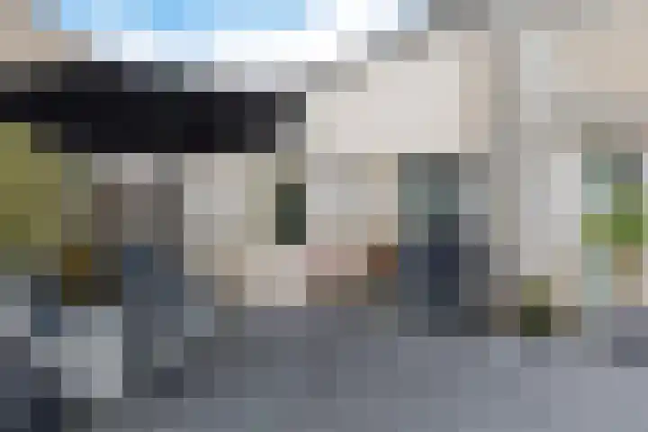 De Eker 11 Goutum thumbnail 43