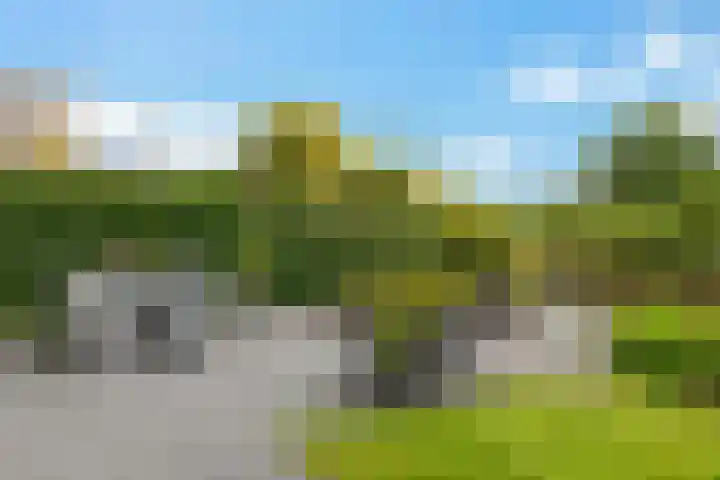 De Eker 11 Goutum thumbnail 44