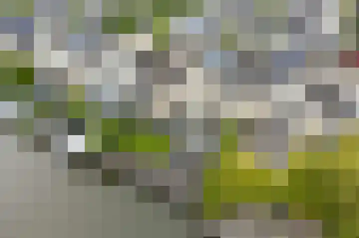 De Eker 11 Goutum thumbnail 46