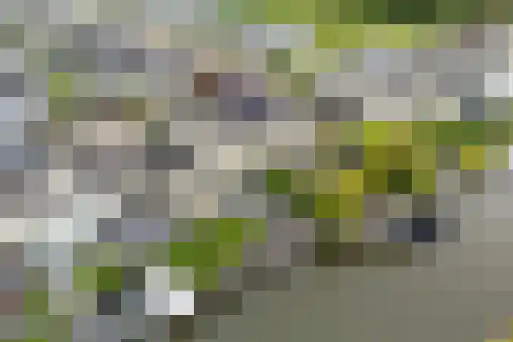 De Eker 11 Goutum thumbnail 47
