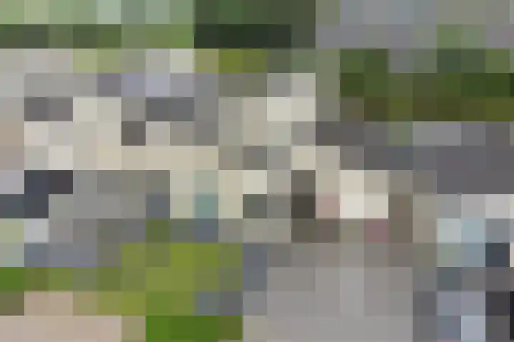 De Eker 11 Goutum thumbnail 48