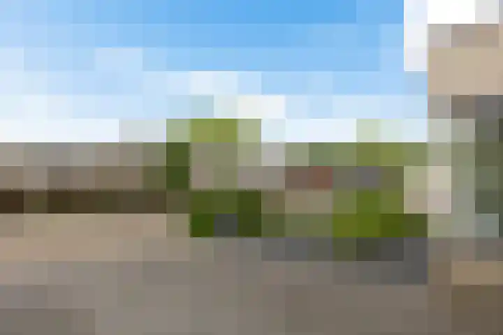 De Eker 11 Goutum thumbnail 7