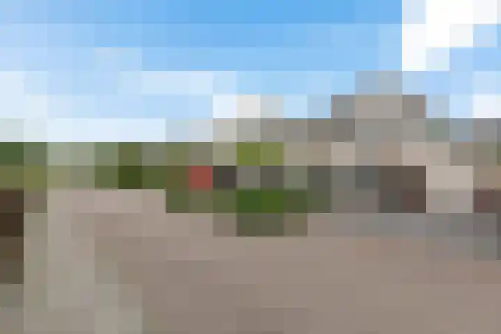 De Eker 11 Goutum thumbnail 8