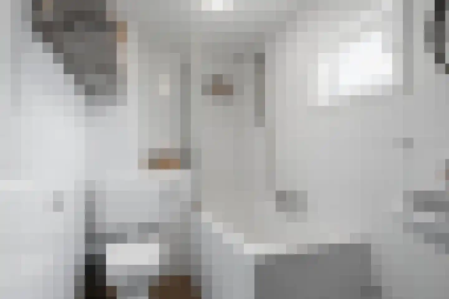 De Eker 12 Balk thumbnail 22