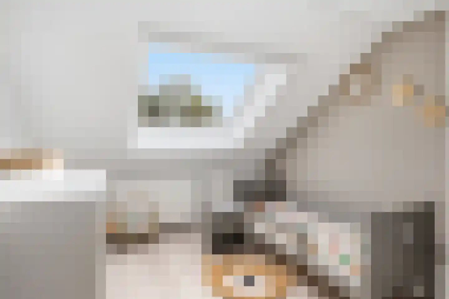 De Eker 12 Balk thumbnail 25