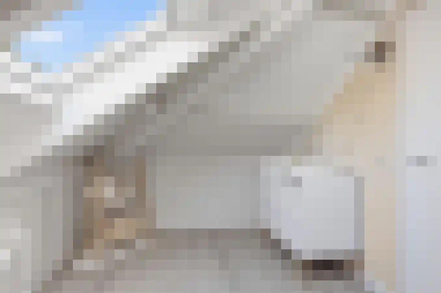 De Eker 12 Balk thumbnail 27