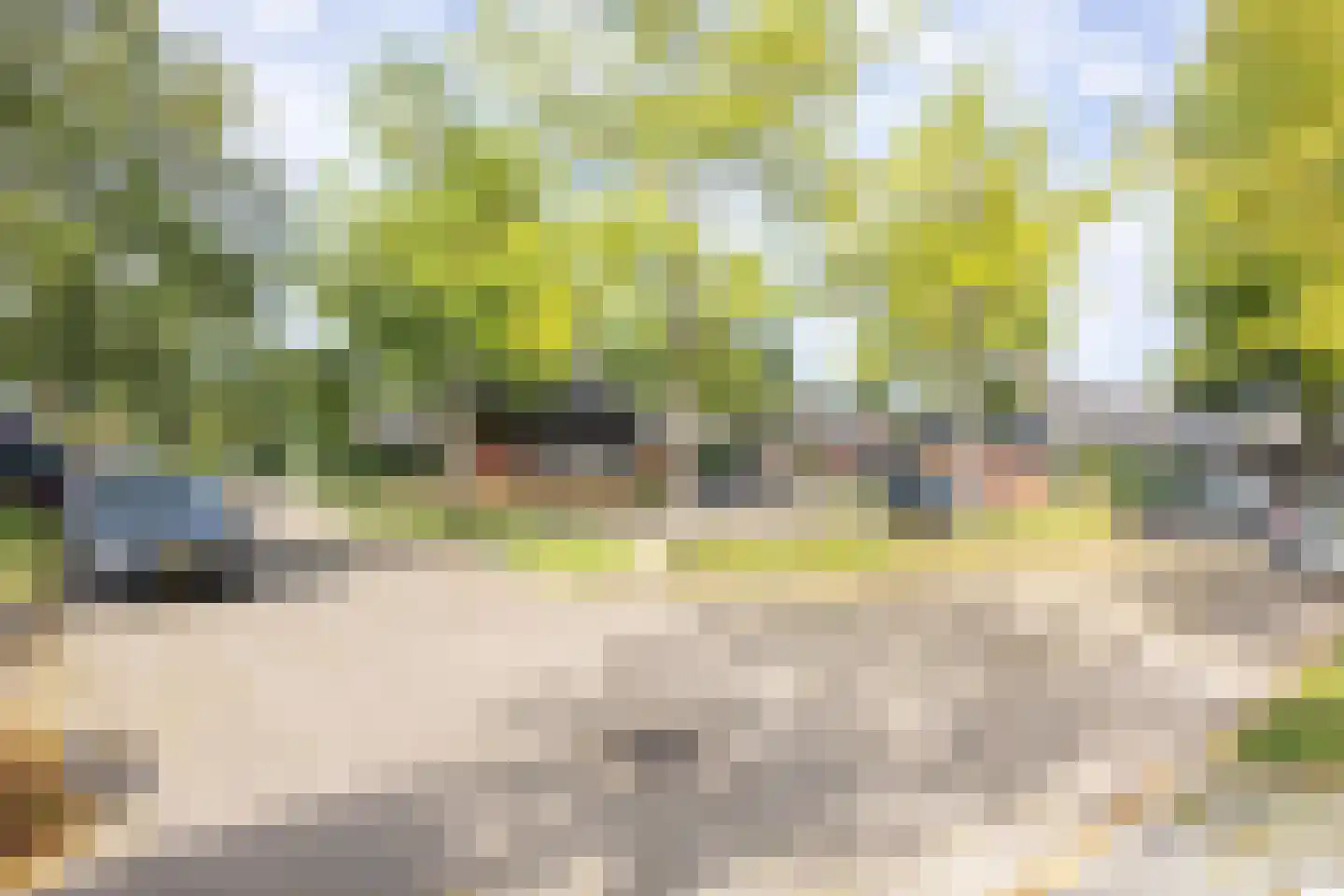 De Eker 12 Balk thumbnail 35