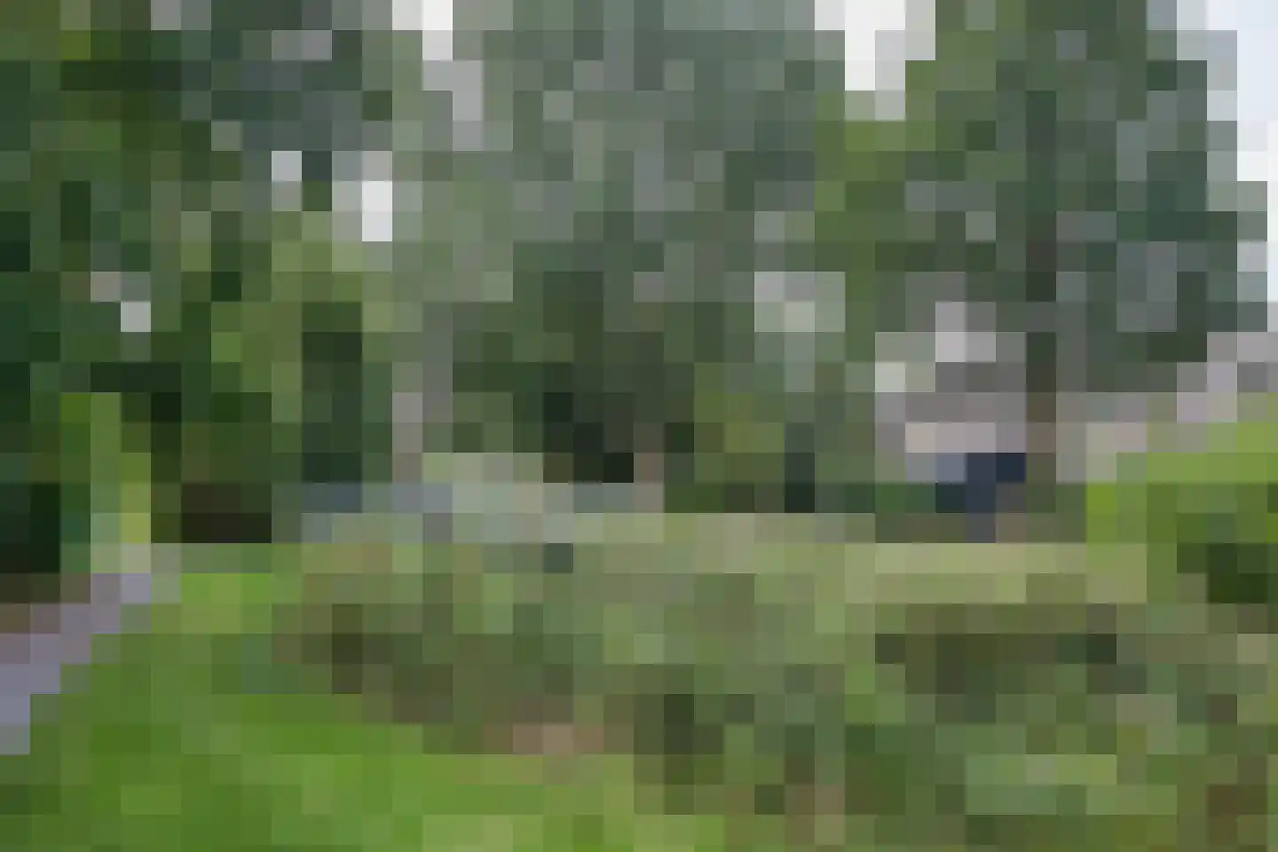 De Eker 12 Balk thumbnail 37