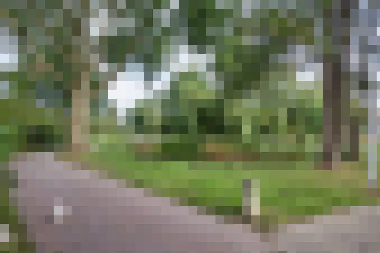 De Eker 12 Balk thumbnail 38