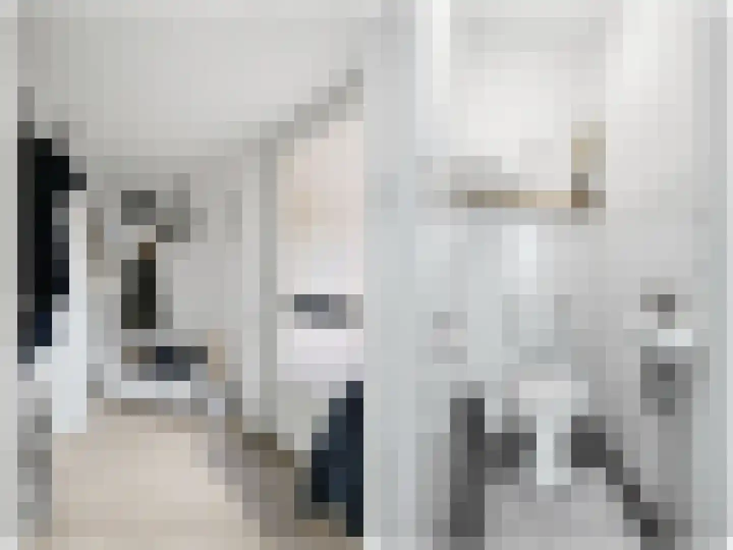De Eker 12 Balk thumbnail 6