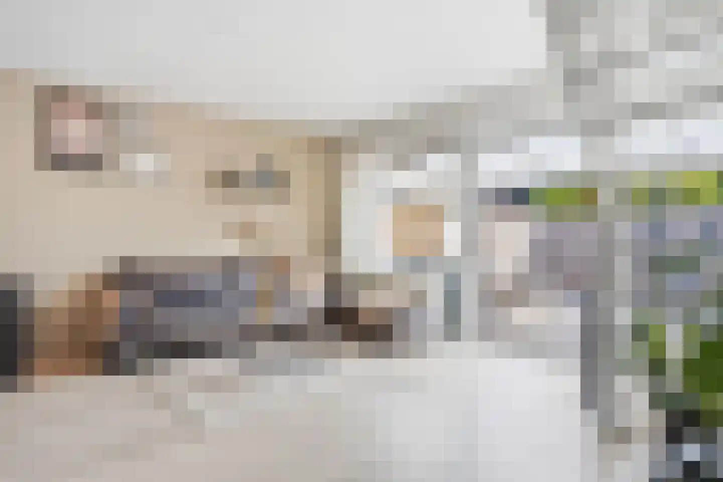 De Eker 12 Balk thumbnail 8