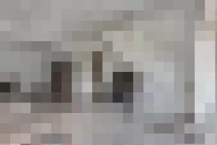 De Eker 2 Balk thumbnail 11