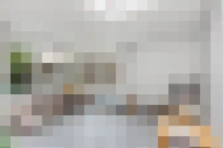 De Eker 2 Balk thumbnail 17