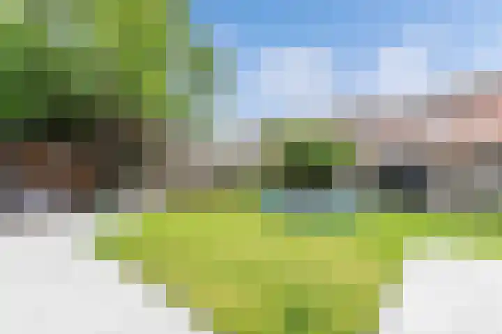 De Eker 2 Balk thumbnail 21