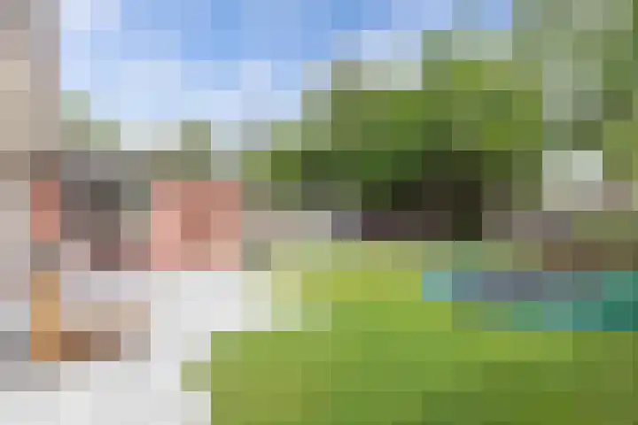 De Eker 2 Balk thumbnail 22