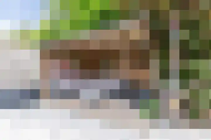 De Eker 2 Balk thumbnail 23