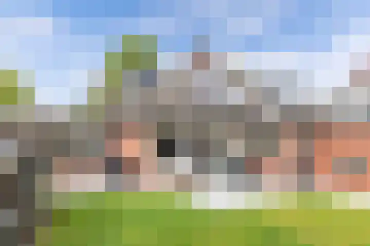 De Eker 2 Balk thumbnail 26