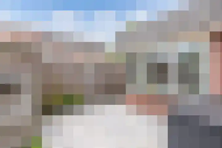 De Eker 2 Balk thumbnail 27
