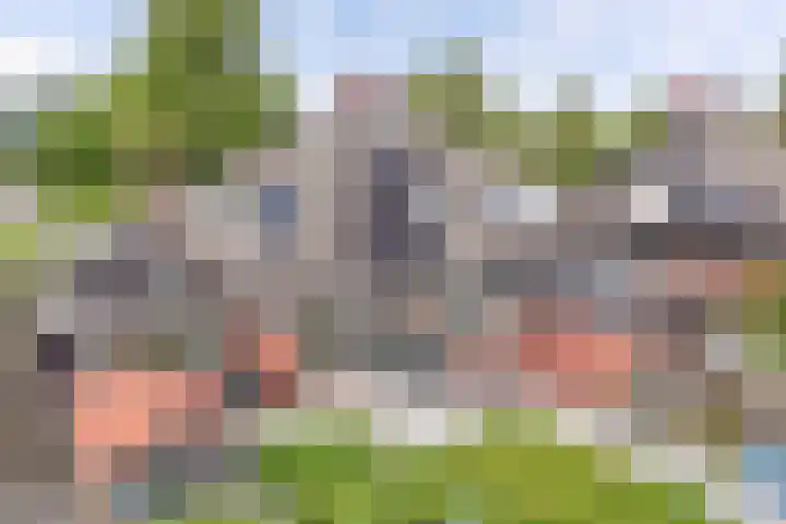 De Eker 2 Balk thumbnail 28