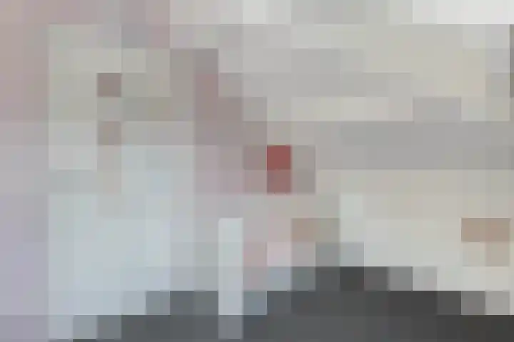 De Eker 2 Balk thumbnail 33