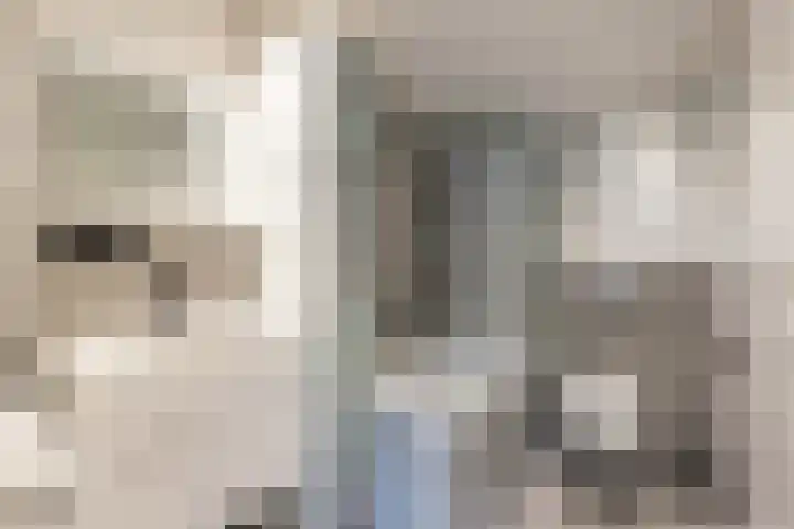 De Eker 2 Balk thumbnail 36