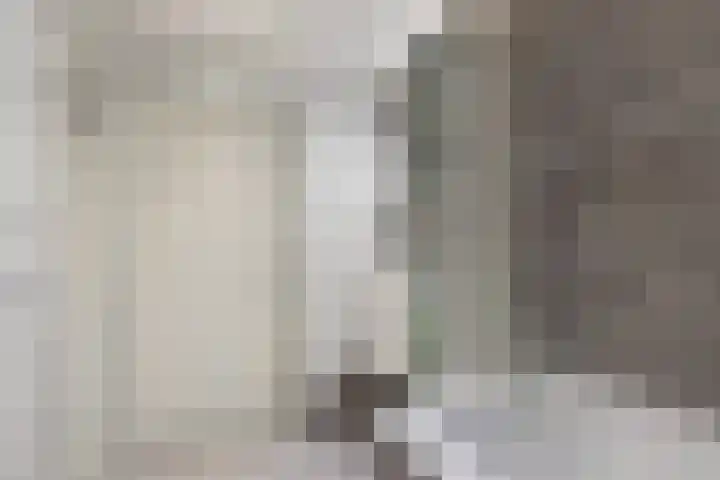 De Eker 2 Balk thumbnail 37