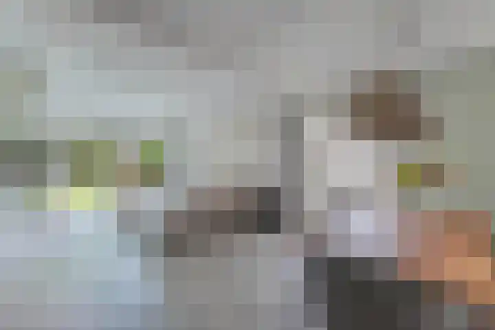 De Eker 2 Balk thumbnail 6