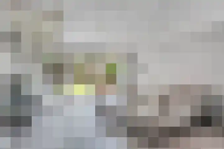 De Eker 2 Balk thumbnail 8