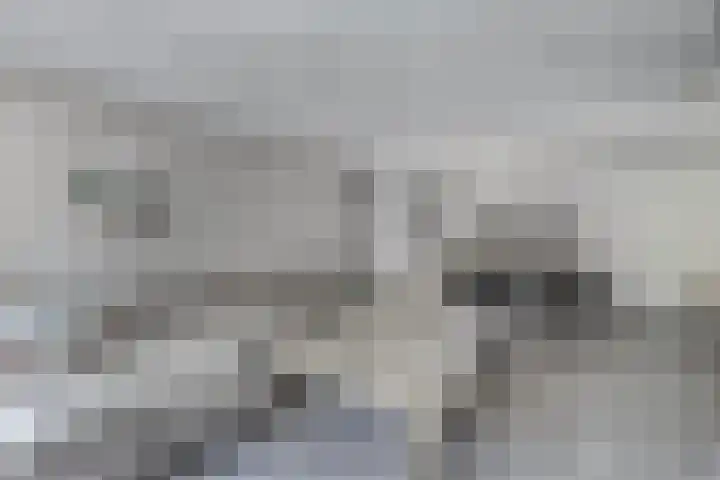 De Eker 2 Balk thumbnail 9