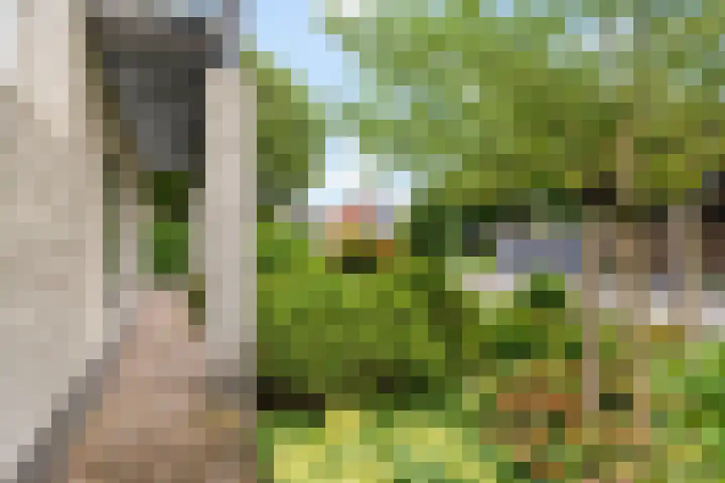 de Eker 21 Sneek thumbnail 35
