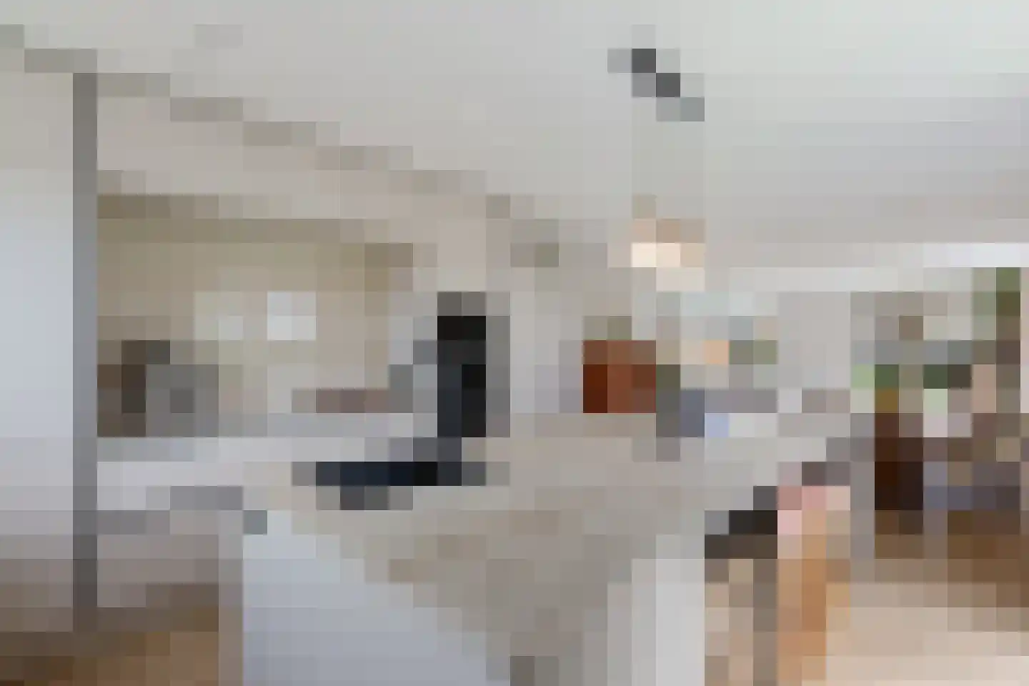 De Ekkers 16 Delfstrahuizen thumbnail 10