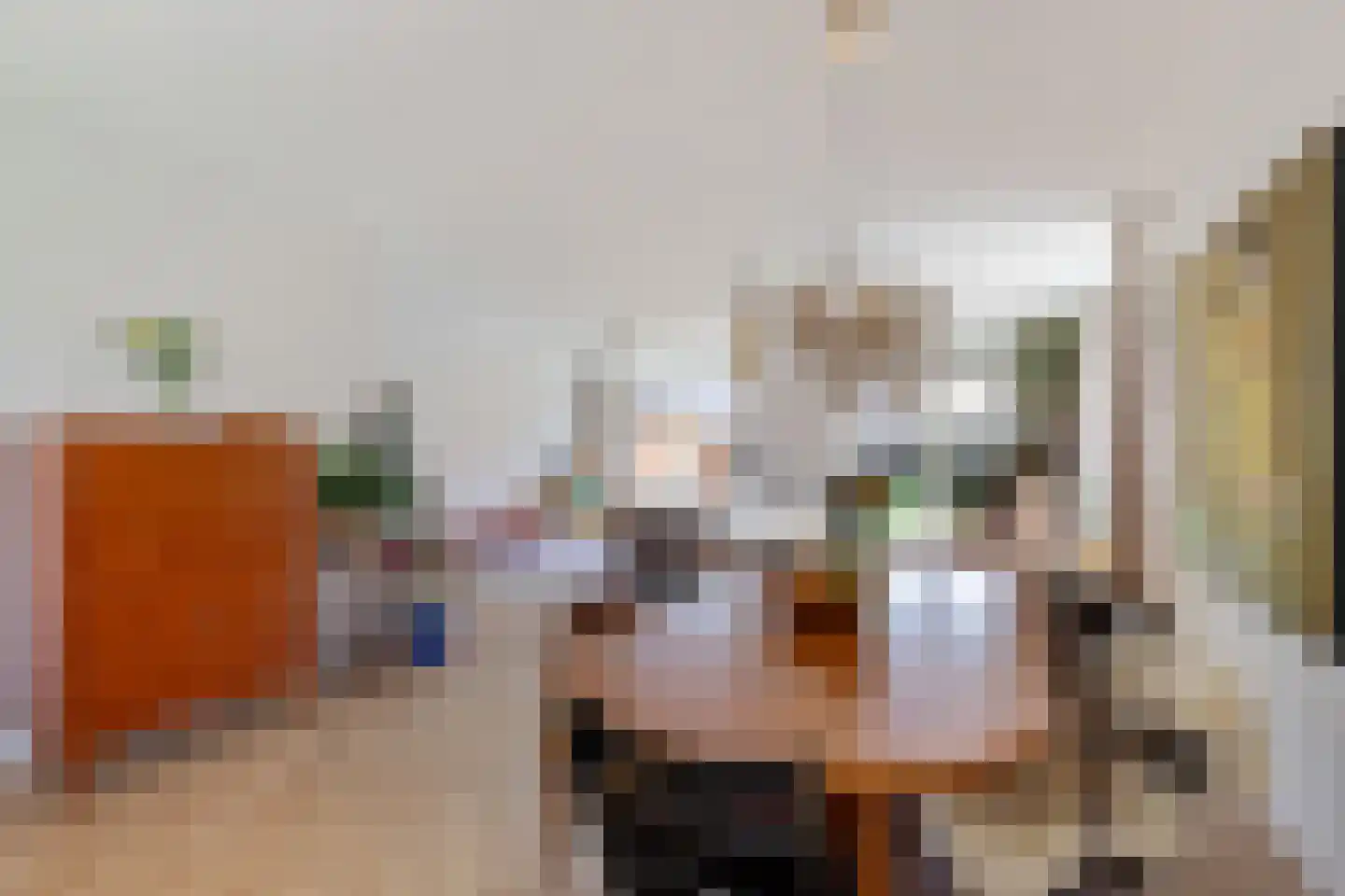 De Ekkers 16 Delfstrahuizen thumbnail 12